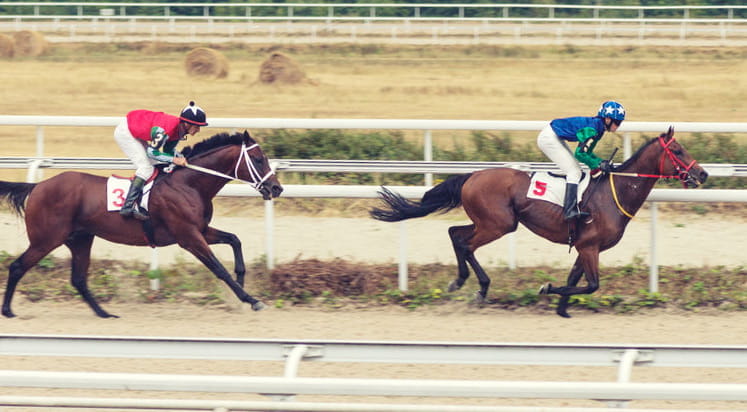 Una corsa ippica all'ippodromo di San Siro